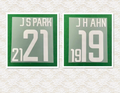 South Korea 2002 Home Football Nameset