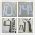 Mexico 2010 Home Football Nameset