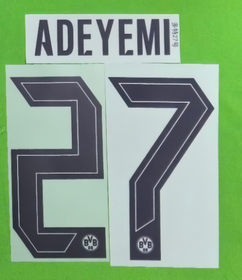 Borussia Dortmund 2024-25 Home Football Nameset