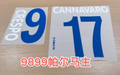 Parma Calcio 1913 1998-2000 Home Football Nameset - Crespo Cannavaro (Repro)